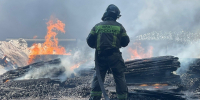 В Брянской области при атаке дронов ВСУ сгорел свинокомплекс - ИА Общественная служба новостей
