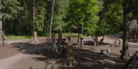 2025-07-18-1752829948-1035-murav2 - Solncewonews.ru