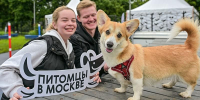 Москвичи предложат инициативы по развитию инфраструктуры для домашних животных на платформе «Город идей» - Правительство Москвы