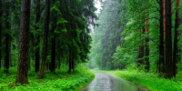 Nature: в осадках по всему миру замечена трифторуксусная кислота - ИА Общественная служба новостей