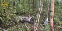 Глава Амурской области в составе правительственной комиссии вылетел к месту крушения Ан-24 - M24.Ru