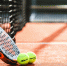 Российская теннисистка Калинская проиграла Фернандес в финале турнира WTA в США - ИА Общественная служба новостей
