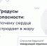 Градусы опасности: почему сердце страдает в жару - ФГАУ ЛРЦ