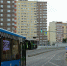 Протяженность новых выделенных полос составляет почти 2 километра. Фото: Анна Быкова, «Вечерняя Москва» - Новые Округа