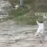 Девушку смыло мощным потоком воды после ливня в Барнауле - Вечерняя Москва