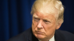 Трамп прокомментировал возможность скорых переговоров с Путиным