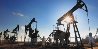 ТАСС: власти Индии не давали указаний прекратить закупки нефти из РФ - M24.Ru