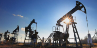 ANI: индийские государственные НПЗ продолжают закупать нефть в РФ - M24.Ru