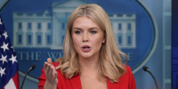 Белый дом: Трамп открыт к встрече с Владимиром Путиным и Владимиром Зеленским - Говорит Москва