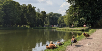 Авторская экскурсия по парку пройдет в Мещанском районе, фото - Мой район