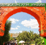 Фестивали на Манежной площади позволяют москвичам расширить кругозор и узнать новое, не покидая города. Фото: пресс-служба Комитета по туризму города Москвы - Новости Зябликово