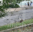Канатная дорога оборвалась в курортной зоне в Нальчике - M24.Ru