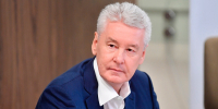 Сергей Собянин рассказал, как в Москве выбирают деревья для озеленения города - Вечерняя Москва