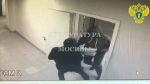 Задержанным за ограбление "Почты России" на юге Москвы предъявлены обвинения