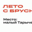 Фестиваль Брусники в Видном - Molnet.Ru