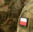 Белоруссия выразила обеспокоенность решением Польши создать группировку в 34 тыс военных - M24.Ru