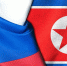 Флаги РФ КНДР - Государственная Дума