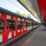График поездов МЦД-1 и "Аэроэкспрессов" в Шереметьево изменится 16–17 августа - M24.Ru