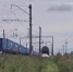 Два подростка задержаны за попытку теракта в Новосибирской области - M24.Ru