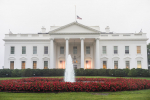 Канцлер ФРГ Мерц намерен участвовать во встрече Трампа и Зеленского в США