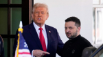 Bild: Трамп лично встретится с Зеленским до переговоров с лидерами ЕС