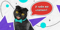Мини-апп запустили в телеграм-канале "Москва 24" - M24.Ru