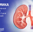 IMG_6937.jpeg - Первый МГМУ им. И.М. Сеченова