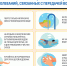 Меры профилактики острых кишечных инфекций и энтеровирусной инфекции - ГБУЗ ГП №220 ДЗМ