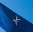 В ГД назвали расформирование НАТО эффективным решением конфликта на Украине - M24.Ru
