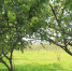 photo-2025-08-23-23-31-34 - Solncewonews.ru