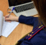 Благодаря принятым следствием мерам перед сотрудниками столичной организации погашена задолженность по заработной плате на сумму свыше 360 миллионов рублей - Следственный комитет