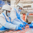 Собянин: Московские предприятия нарастили экспорт пищевой продукции на 19% - Информационный Центр