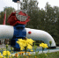 В Словакии заявили о возобновлении поставок по нефтепроводу "Дружба" - M24.Ru