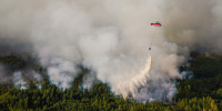 Площадь пожара в Геленджике увеличилась до 41,5 гектара - Вечерняя Москва