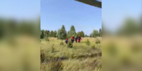 Спасатели нашли потерявшегося в лесу в ТиНАО 75-летнего пенсионера - M24.Ru