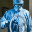 Столичные обрабатывающие производства увеличили оборот на 4,8 процента - Правительство Москвы