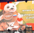 На фестивале "Русское лето. ZaРоссию" в Иркутске Народный фронт собрал более 250 тысяч рублей в поддержку участников СВО - ОНФ в Москве