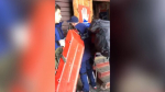 Группа россиян попала под камнепад на Эльбрусе