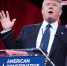 Трамп: Путин и Зеленский еще не готовы к заключению перемирия - ИА Общественная служба новостей