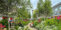 Растения после фестиваля «Сады и цветы» отправят в ботанические сады - Комсомольская Правда