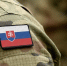 Фицо заявил, что Словакия не будет отправлять военных на Украину - M24.Ru