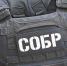 Подозреваемые в разбойном нападении задержаны в Москве при содействии спецназа Росгвардии - Росгвардия