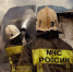 МЧС Кубани опровергло гибель 28 крокодилов и черепахи при пожаре - M24.Ru