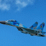 Украинский Су-27 разбился в Запорожской области - M24.Ru