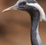 Цикл тематических занятий  МосЭкоОсень  стартует в экоцентрах ЮЗАО - Префектура ЮЗАО Москвы