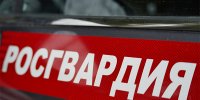 Росгвардейцы помогли курьеру, пострадавшему в ДТП на юге Москвы (видео) - Росгвардия
