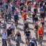 В Крылатском организовали три крупных спортивных мероприятия для москвичей - Газета На Западе Москвы