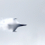 Rzeczpospolita: Польский F-16 пытался сбить дрон, но попал в жилой дом - ИА Общественная служба новостей
