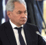 Шойгу заявил, что Россия готова предложить Ираку самые современные вооружения - M24.Ru