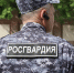 В Подмосковье дебошир в хостеле оказался преступником из федерального розыска - Комсомольская Правда